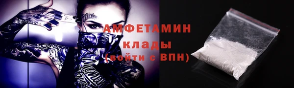 ECSTASY Алзамай